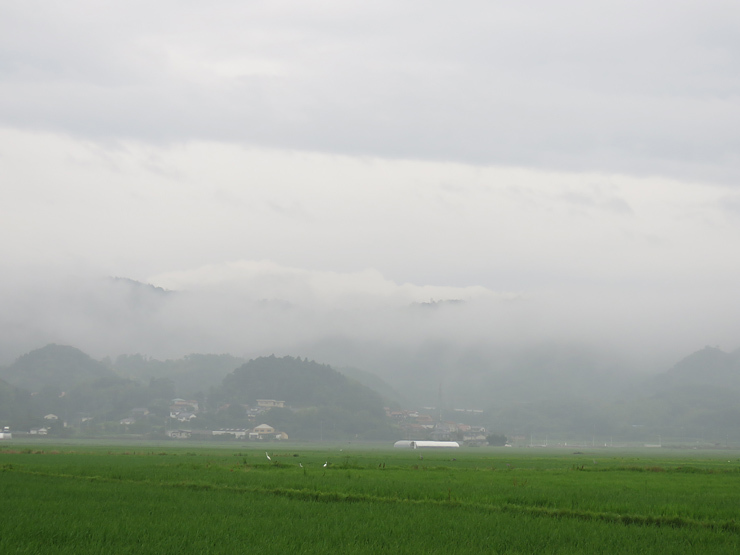 f0214649_04383968.jpg