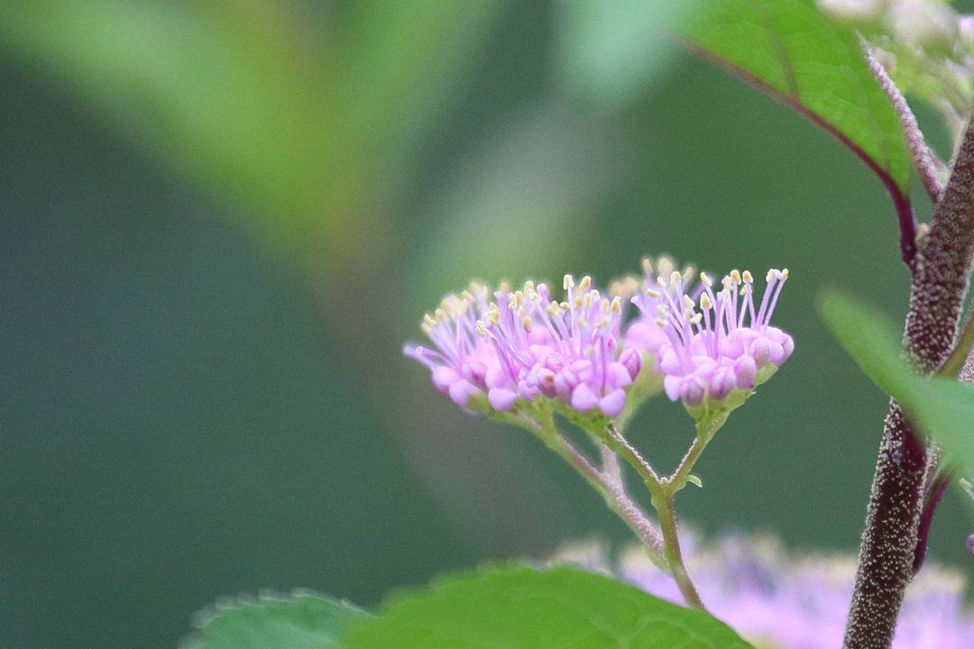 e0403850_09315866.jpg
