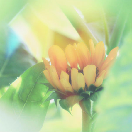 osanpo 3_a0271251_18201421.jpg