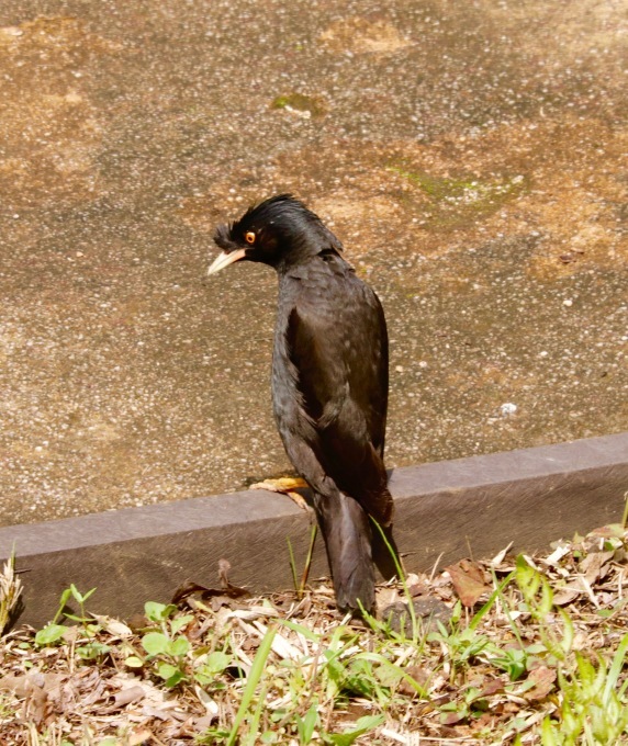 a0248459_14541679.jpg