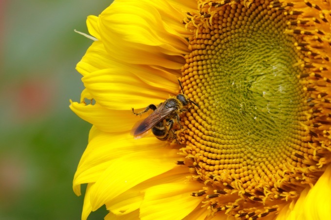 a0248459_15004259.jpg