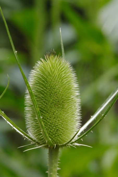 a0248459_15023711.jpg
