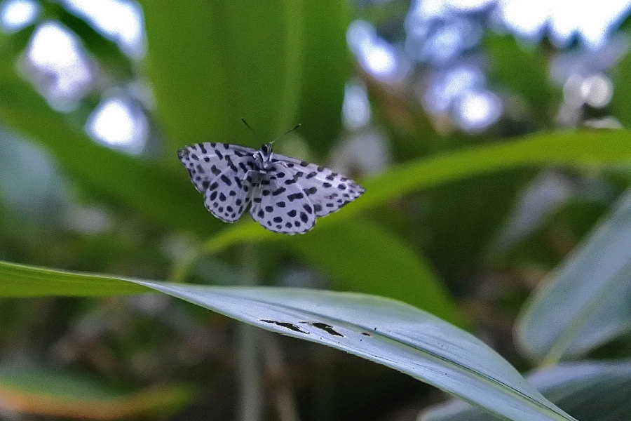 d0387460_10212250.jpg