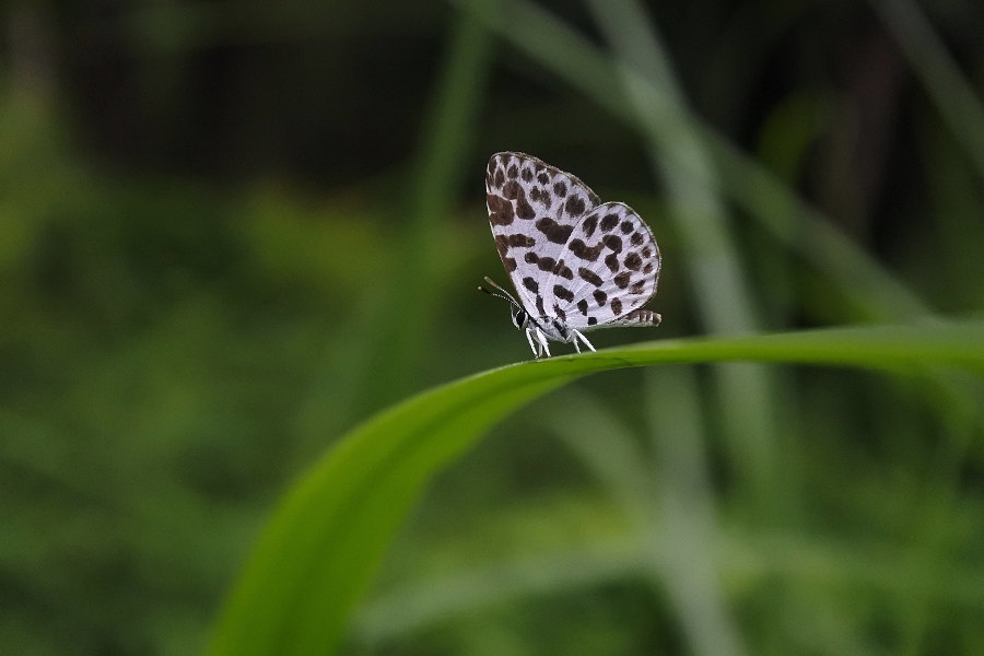 d0387460_10213150.jpg
