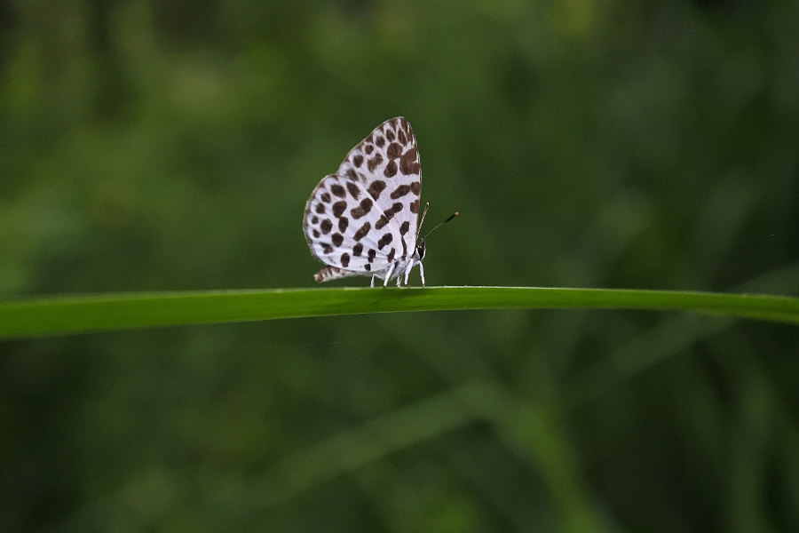 d0387460_10215427.jpg