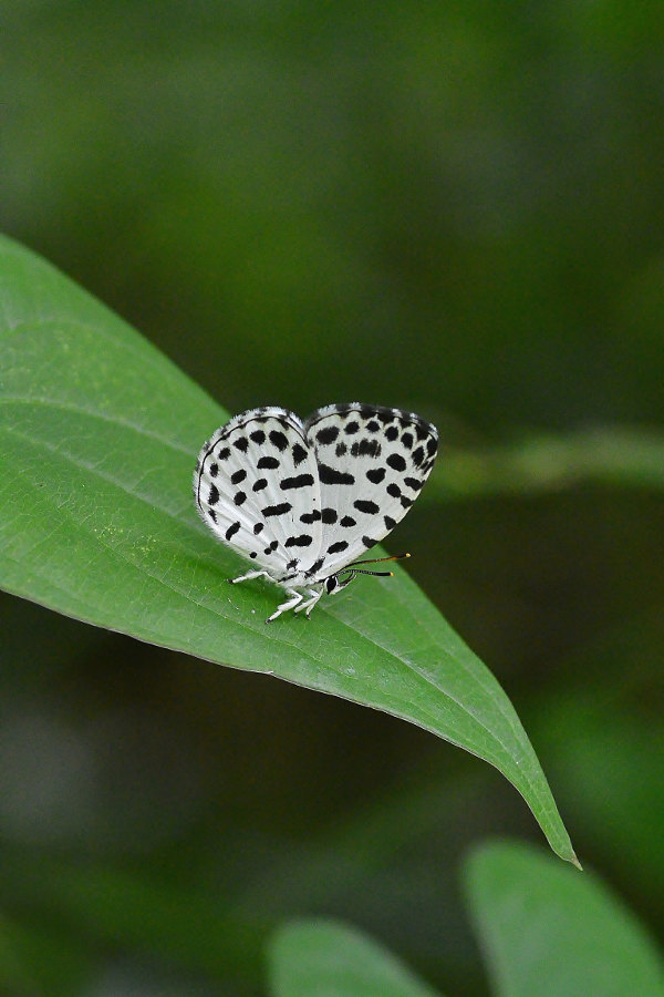 d0387460_10220345.jpg