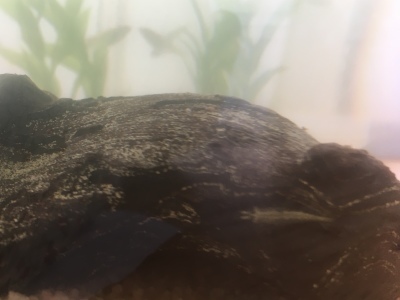 a0295764_02035804.jpeg