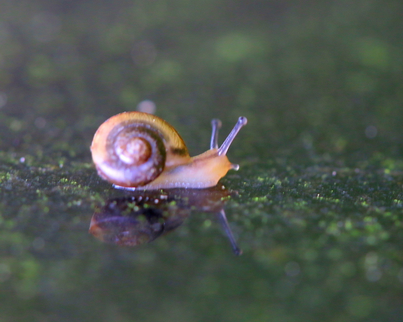 c0305565_17390132.jpg