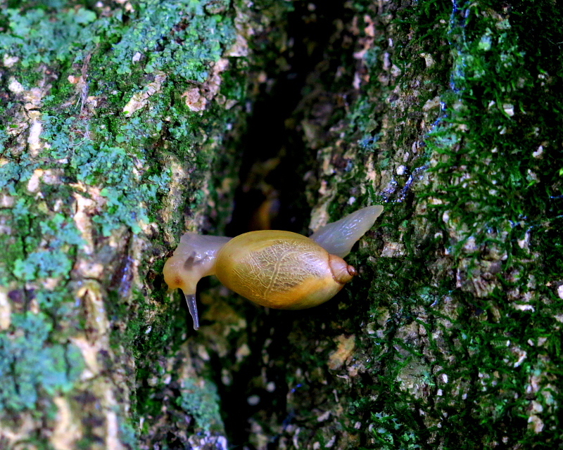 c0305565_17393911.jpg