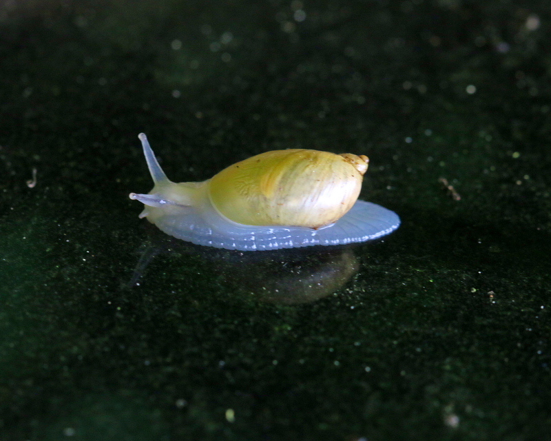 c0305565_17402930.jpg