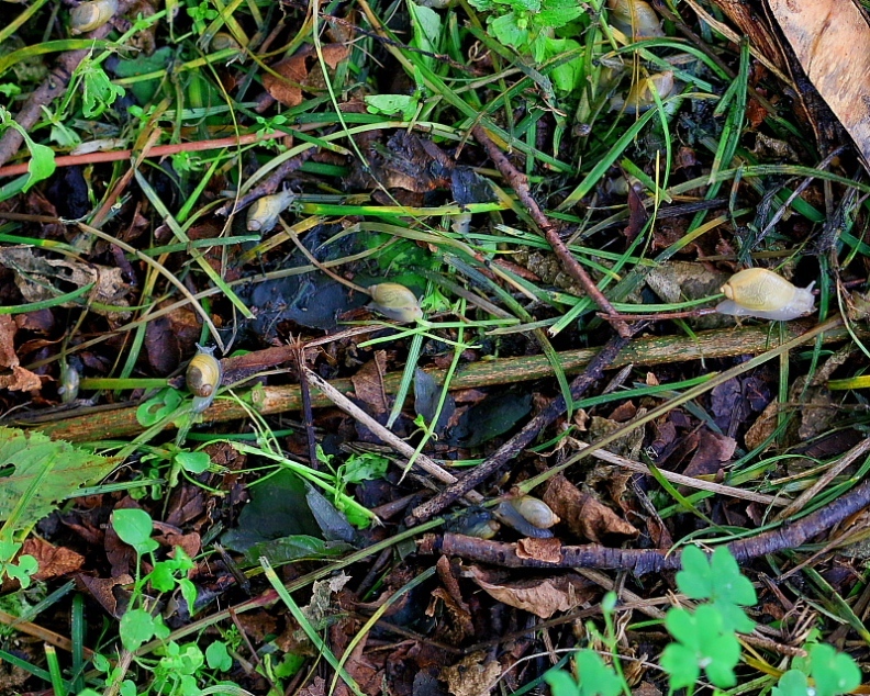 c0305565_17404049.jpg