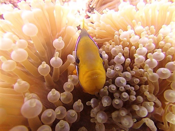 e0132965_08090536.jpg