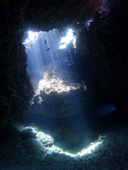 e0132965_17550908.jpg