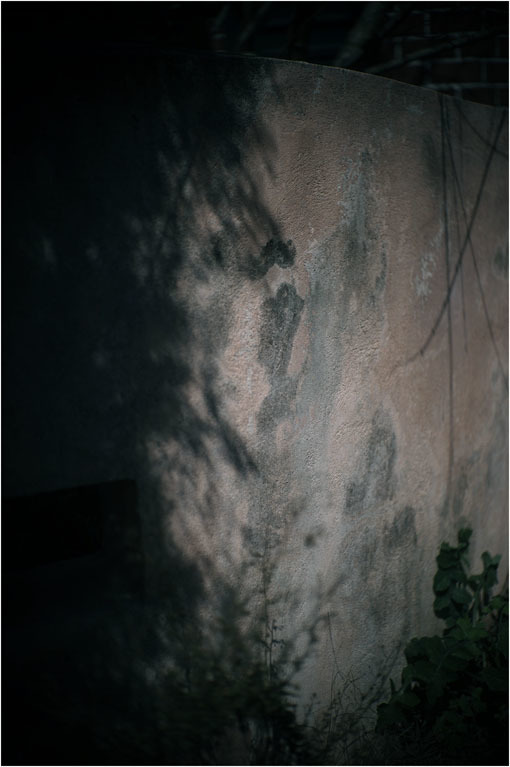 c0168172_14333527.jpg