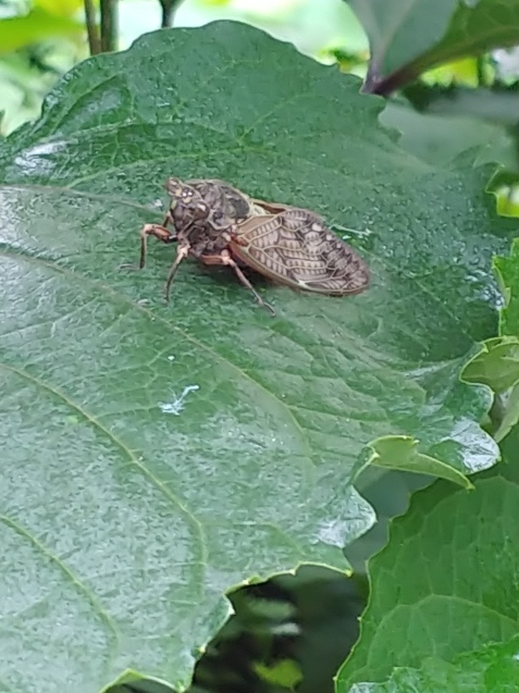 c0162773_09230250.jpg