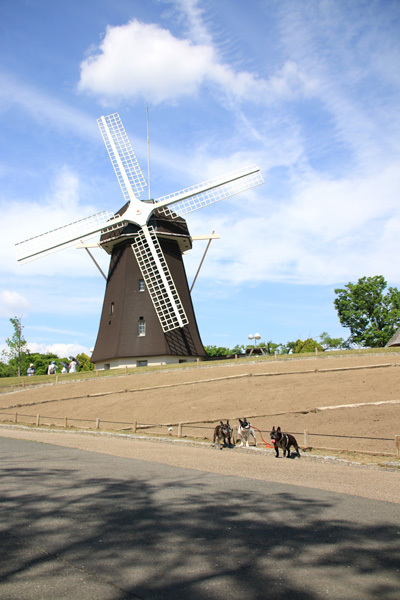 a0293177_22462605.jpg