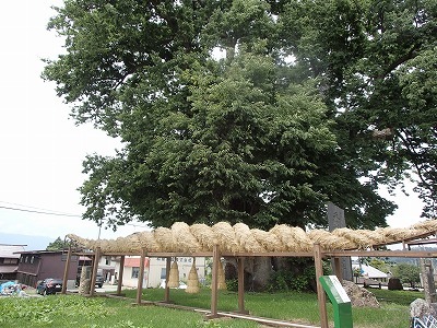 f0392779_11005893.jpg