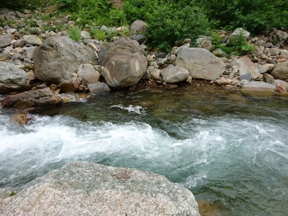 c0157482_09193362.jpg