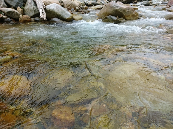 c0157482_10400462.jpg