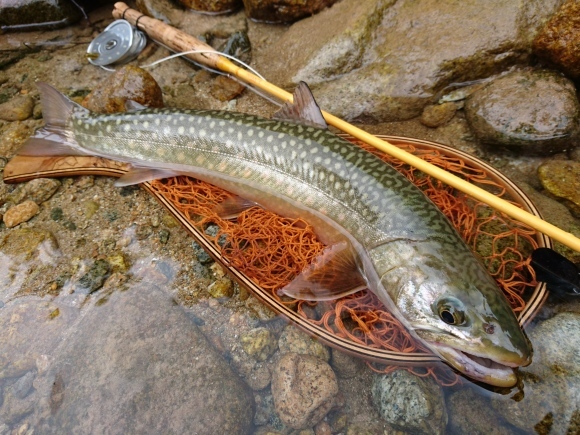c0157482_11090405.jpg