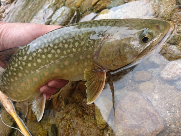 c0157482_11113907.jpg