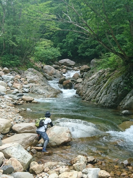 c0157482_11335064.jpg
