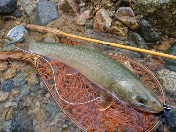 c0157482_11431247.jpg