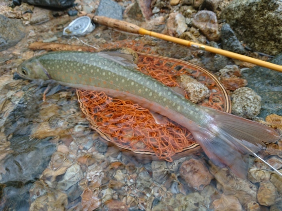c0157482_11454611.jpg