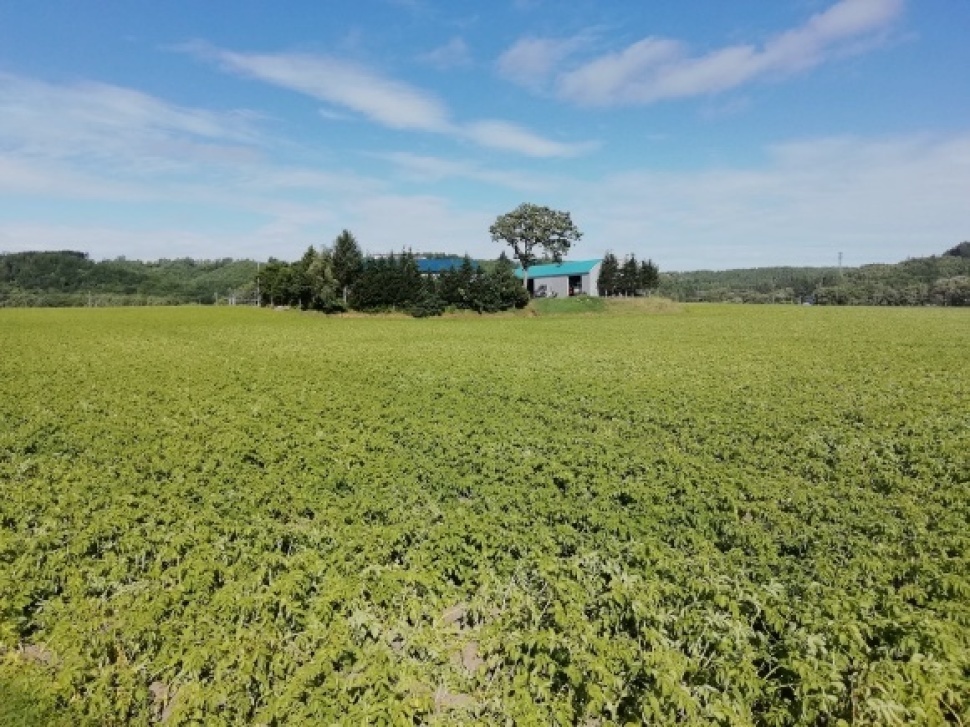 c0212083_18125309.jpg