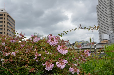 c0229483_1023531.jpg