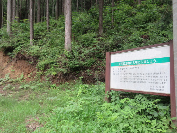 7月21日（日）ミネラルハンター3人組の宝探し : タンポポ先生の日記