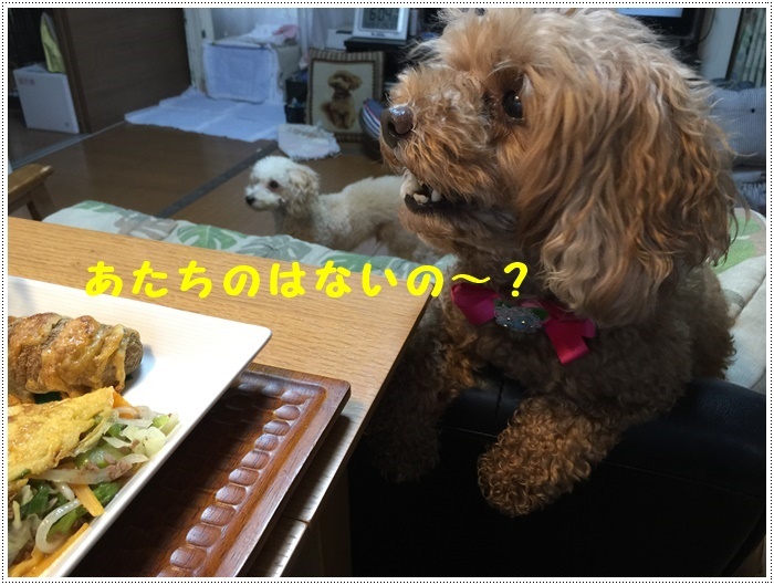 やっと長雨から解放されて、高校野球県予選も再開です、梅雨明けもそろそろですね!!_b0175688_20334322.jpg