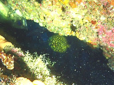 f0079996_17185479.jpg