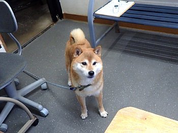 f0079996_17363048.jpg