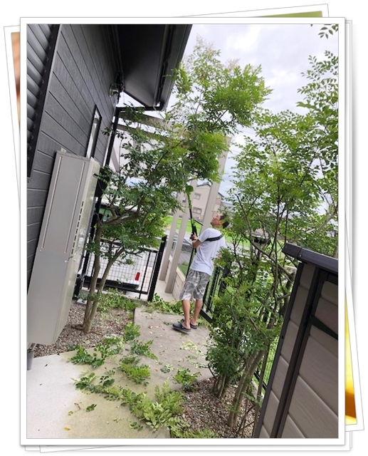 a0107198_11205695.jpeg