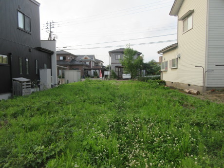a0203003_20315229.jpg