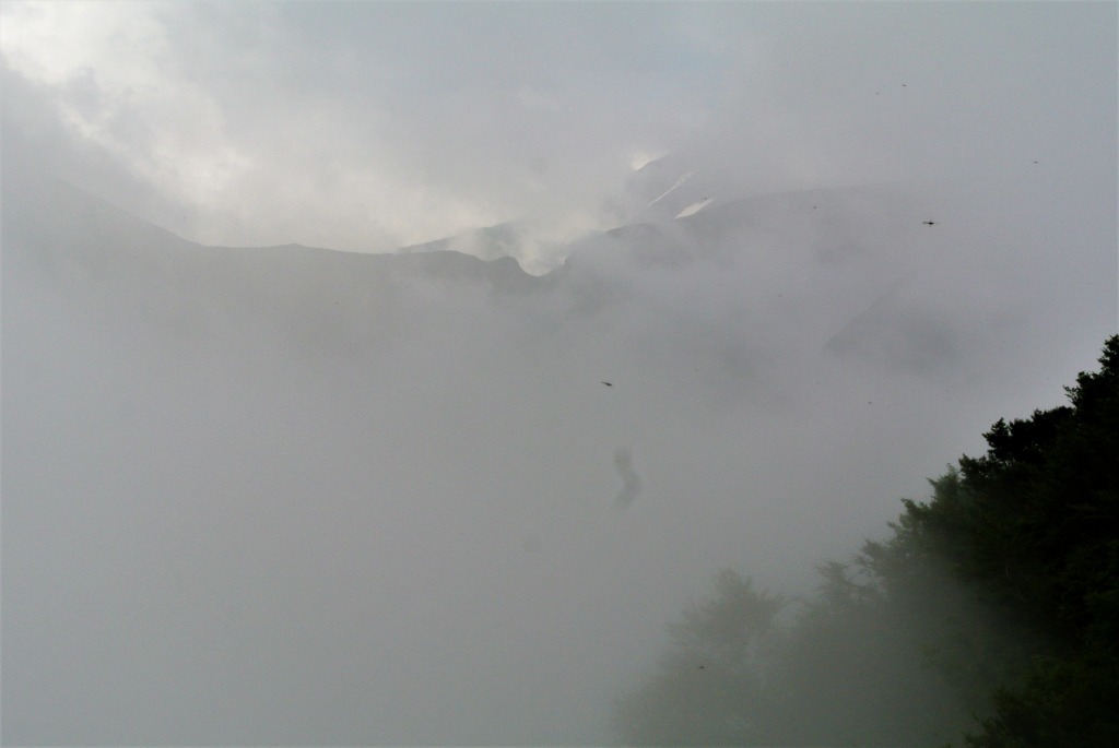 a0148206_14552336.jpg