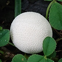 f0371014_05501078.jpg