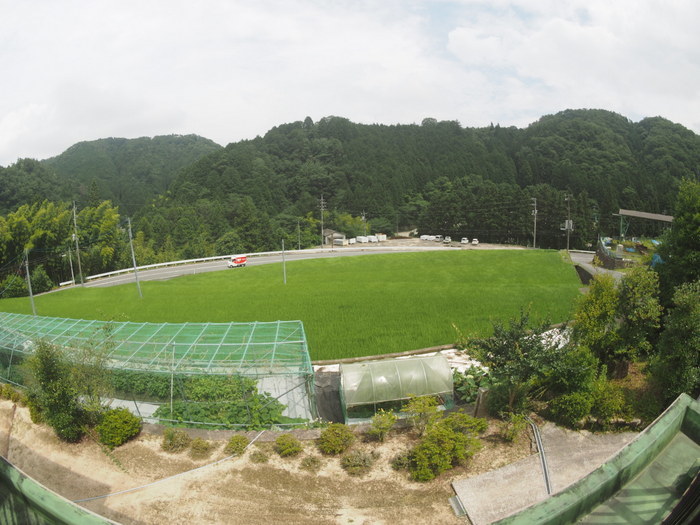 曇り時に晴れ_c0116915_23325867.jpg