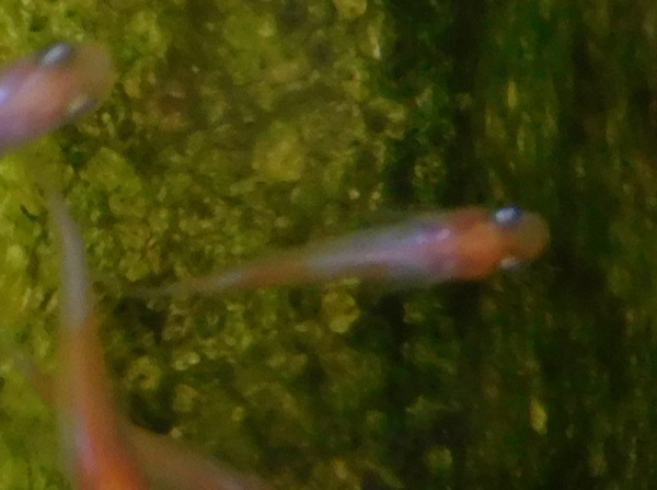 e0097534_18102363.jpg