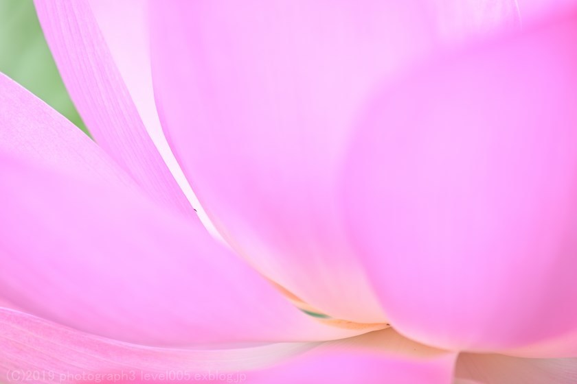 e0362037_21075789.jpg