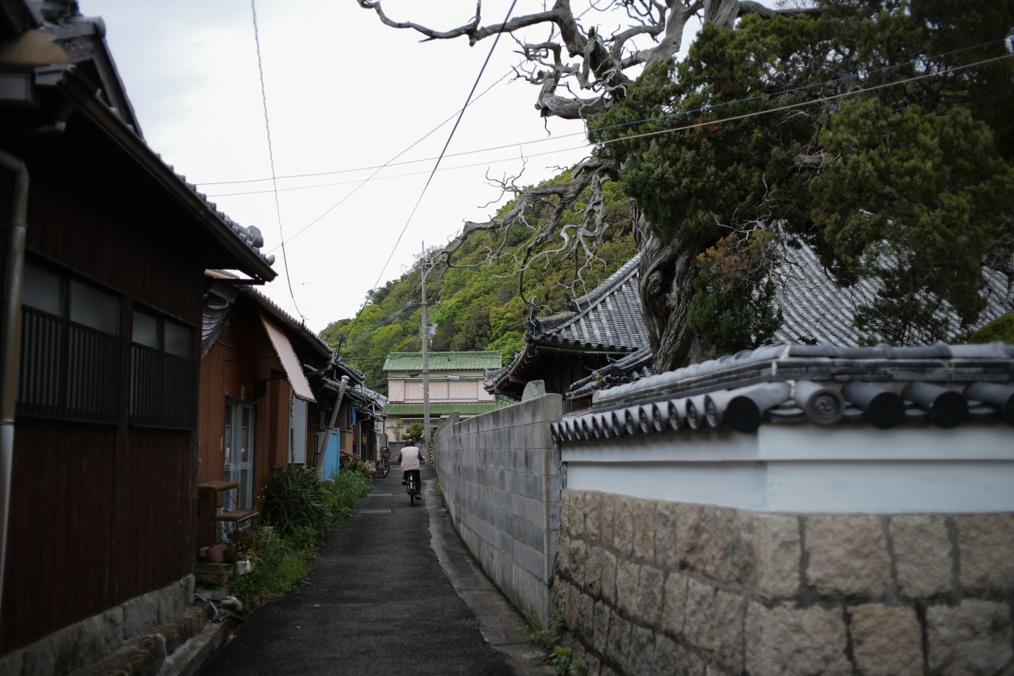 b0212342_06175250.jpg
