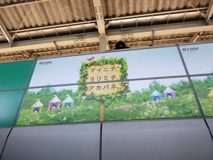川越駅で買ったお土産【北海道&東日本パス旅3日目】_b0009849_18161977.jpg