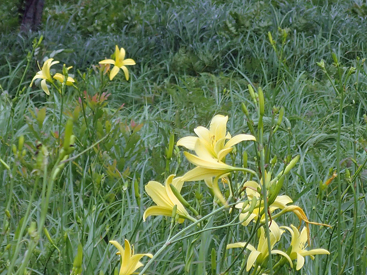 f0214649_04415316.jpg