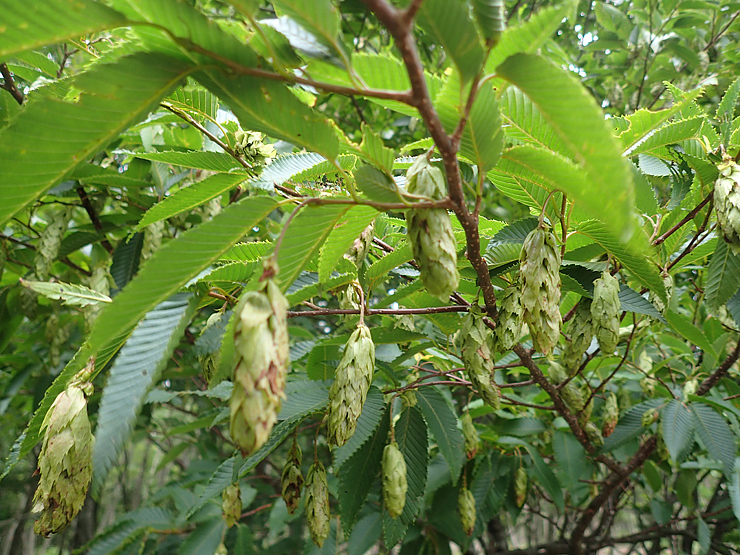 f0214649_04482041.jpg