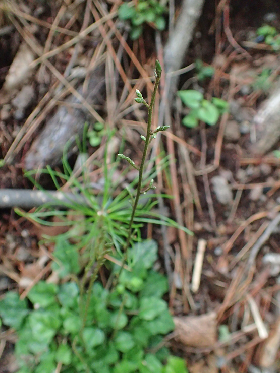 f0214649_04483711.jpg