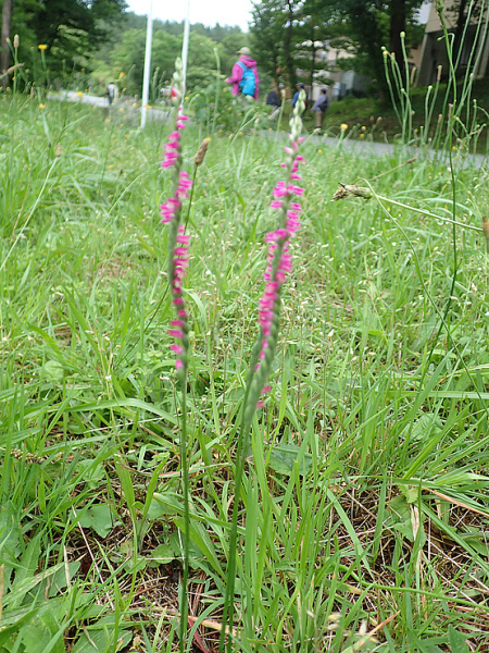 f0214649_04485037.jpg