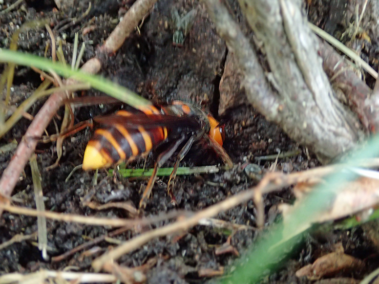 f0214649_14094524.jpg