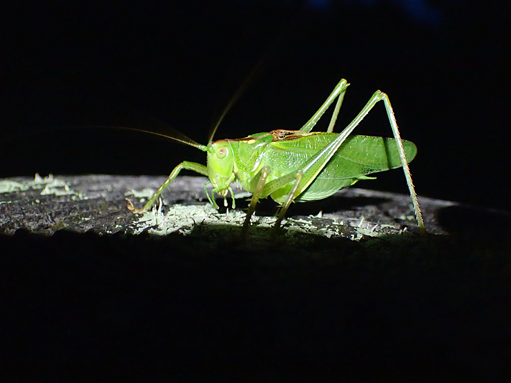 f0214649_14151957.jpg