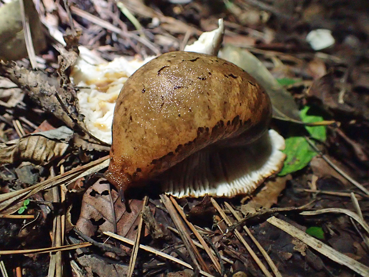 f0214649_14215267.jpg